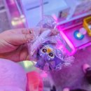 쥬디뽑기# 이미지