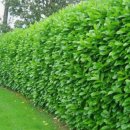 제이와이팜 이미지