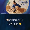 (주)현대응급이송센타 | 🐶반려동물관리사 완벽 가이드🐱