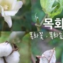 선주리들공원 이미지