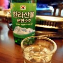 하루방통돼지 이미지