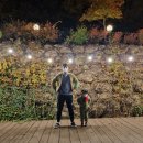 군불로관광농원 이미지