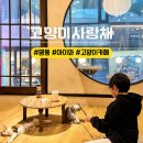 순한고양이 | 명동 아이와 가볼만한곳 고양이사랑채 깨끗하고 한국적인 고양이카페라 찐만족