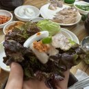 고기밥