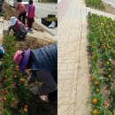 북수 마을회관 이미지