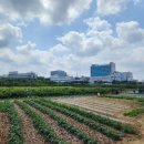 김용주농장 이미지