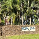 하나로농장-3 | 빅아일랜드 코나조 커피농장 방문 후기 코나커피 맛평가