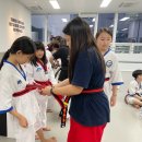 용인대 다정태권도 이미지