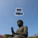 각원사약수 | 충남 천안 국내명소 천안데이트 : 각원사 벚꽃만개