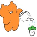 카페루바토 이미지