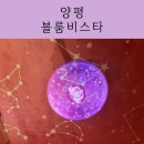 쥬쥬호텔 | 양평 블룸비스타 아이와 시크릿쥬쥬 호텔 후기