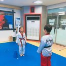 마루아라태권도 이미지