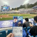 삼성라이온즈파크 라팍 블루존 3-1구역 9열 3번 시야 직관후기