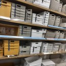 롯데마트 김해점 | 다이소 롯데마트 김해점