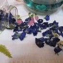 꽃차만들기 이미지