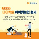 하이펫동물병원 이미지