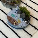 용두방천2길 | 과제용 원데이클래스 : 컨셉에 맞춰 완성한 이끼집 클래스 후기