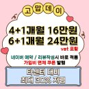 익스홀릭 가넷 이미지