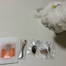 댕댕이수라상 이미지