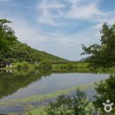 국립칠곡숲체원 이미지