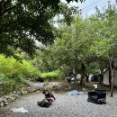 꿈에그린 캠핑장 이미지