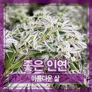 좋은인연 이미지