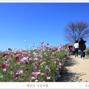 구리한강시민공원 이미지