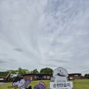 순천만풍경 | 순천 순천만습지 여행 후기, 주차부터 입장권 꿀팁까지 제대로 보고 온 코스