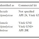 API kit의 misidentification 이미지