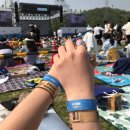 청춘페스티벌 2019 후기, 준비물, 청춘페스티벌 2020 라인업, 티켓가격, 셔틀버스