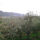 고현저수지 이미지