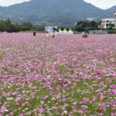 가조온천 이미지