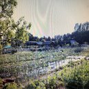 감인의료재단 청라백세요양병원 이미지