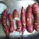 롯데백화점 비비하우스 이미지