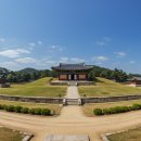 여주-0195 티스토리