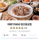 대패가 1900 이미지