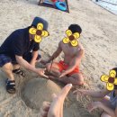 굿모닝노을빛바다