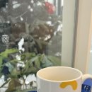 포케올데이 춘천점 이미지