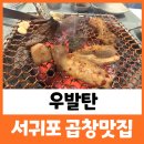 우발탄 이미지