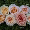 엠앤제이 이미지