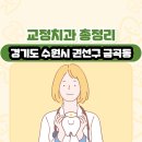 경기도 수원시 권선구 금곡동 교정치과 총정리