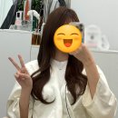 (주)피앤드에이 | 처녀자리따라 아돌라가고 오사카 날아가는 이야기 (가든스튜디오 방청 후기/휘브 오사카 콘서트)