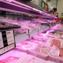 농림축산검역본부 이미지