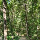 횡성 호수길 5구간 이미지