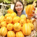 성주푸드 이미지