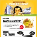 황금돼지통신 네이버블로그