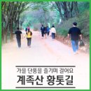 계족산황톳길 이미지