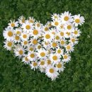 산너머남촌 이미지