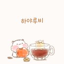 하야루비 이미지