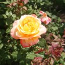 이종수의 즐거운 노래세상 이미지